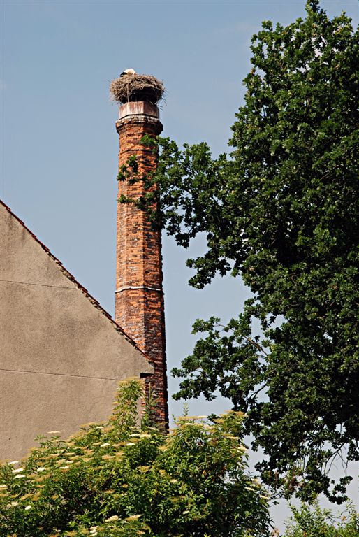 Celý bejvák