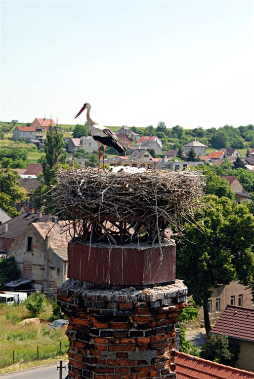Máma s přírůstky